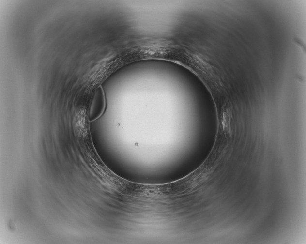 X0000103261396200808291207