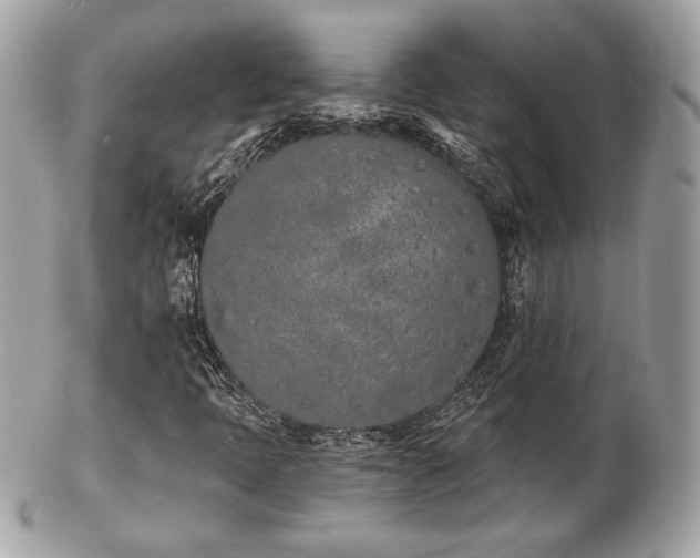 X0000103261397200808291207