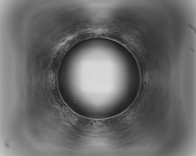 X0000103261398200808291207