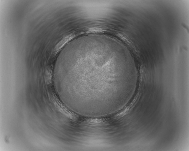 X0000103261401200808291207