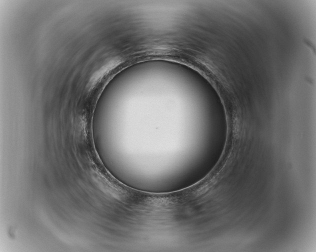 X0000103261402200808291207