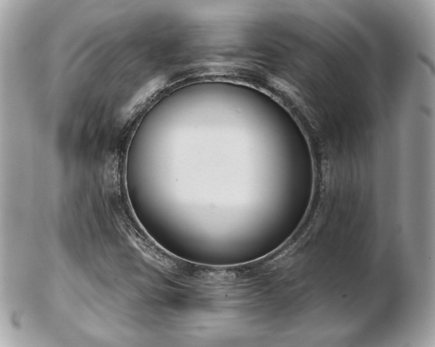 X0000103261403200808291207