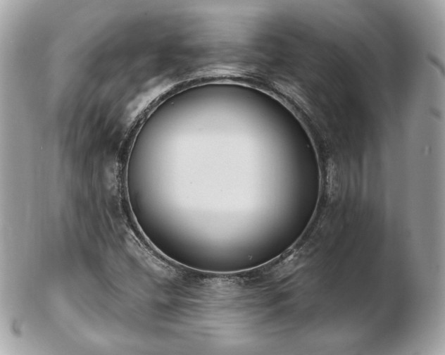 X0000103261404200808291207