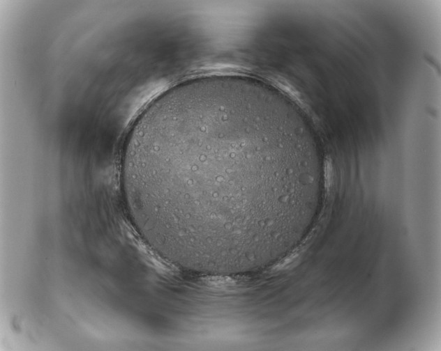 X0000103261405200808291207