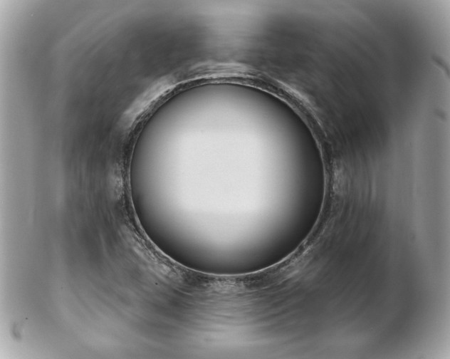 X0000103261407200808291207