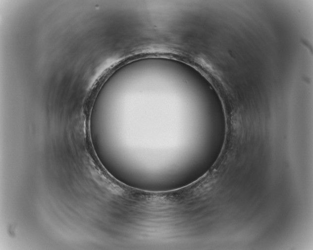 X0000103261408200808291207