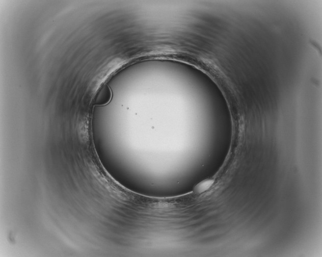 X0000103261409200808291207