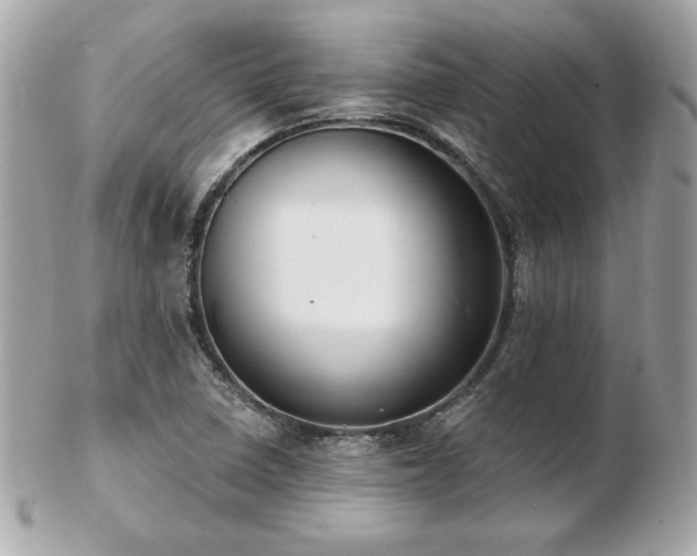 X0000103261410200808291207