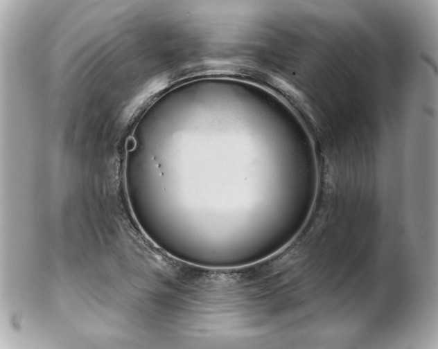 X0000103261411200808291207