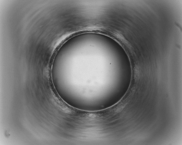 X0000103261412200808291207