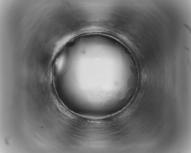 X0000103261413200808291207