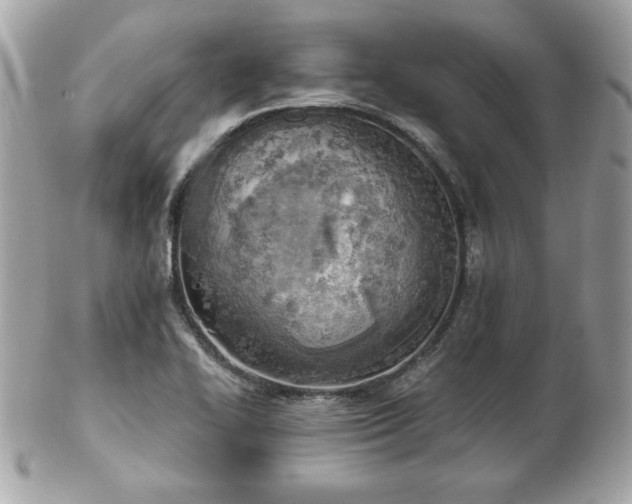 X0000103261414200808291207