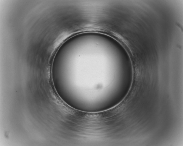 X0000103261415200808291207