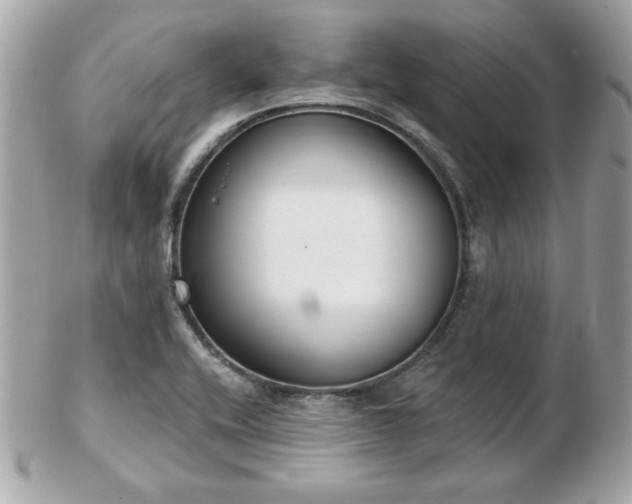 X0000103261416200808291207