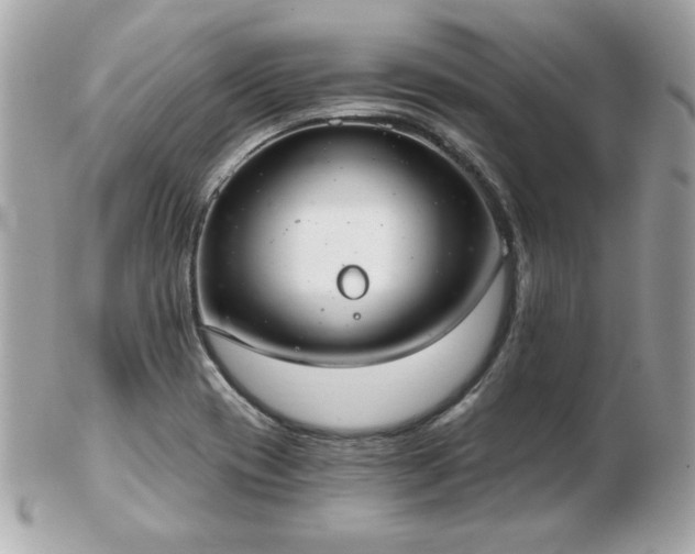 X0000103261417200808291207