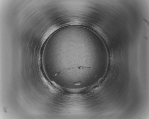 X0000103261418200808291207