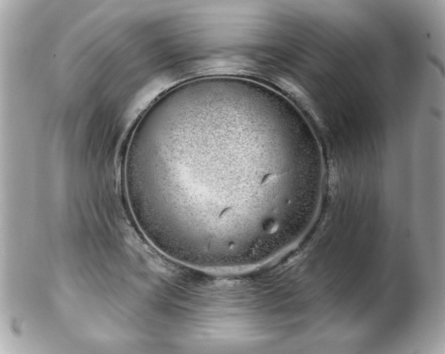 X0000103261419200808291207