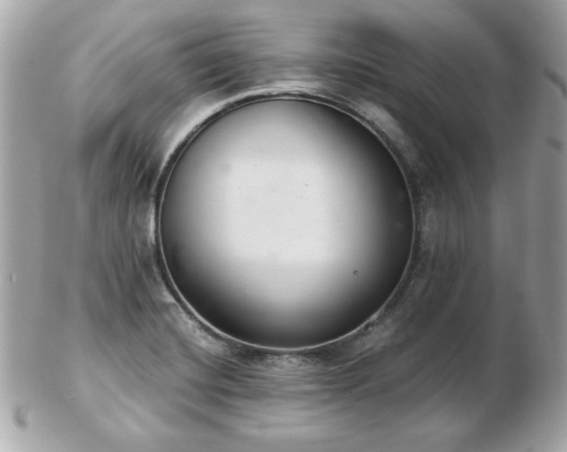 X0000103261420200808291207