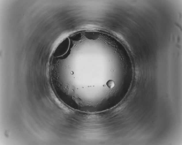 X0000103261421200808291207