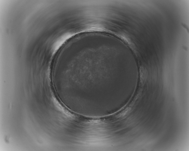 X0000103261422200808291207