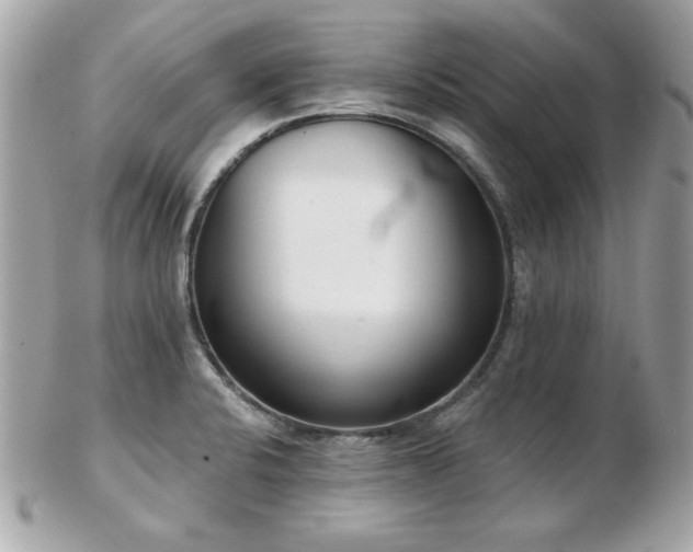 X0000103261424200808291207