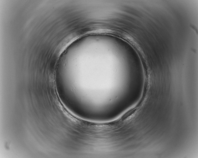 X0000103261425200808291207