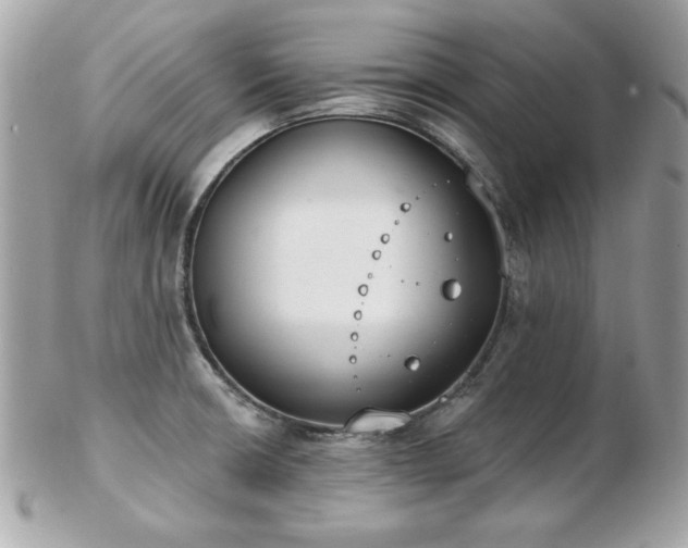 X0000103261426200808291207