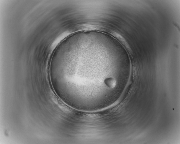 X0000103261427200808291207