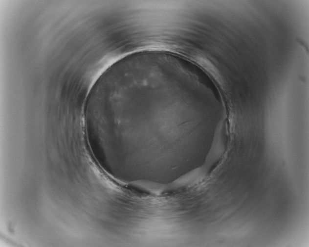 X0000103261428200808291207