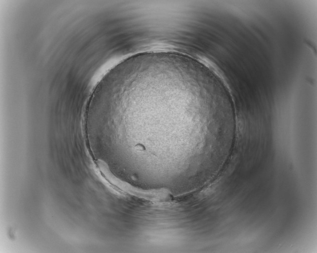 X0000103261429200808291207