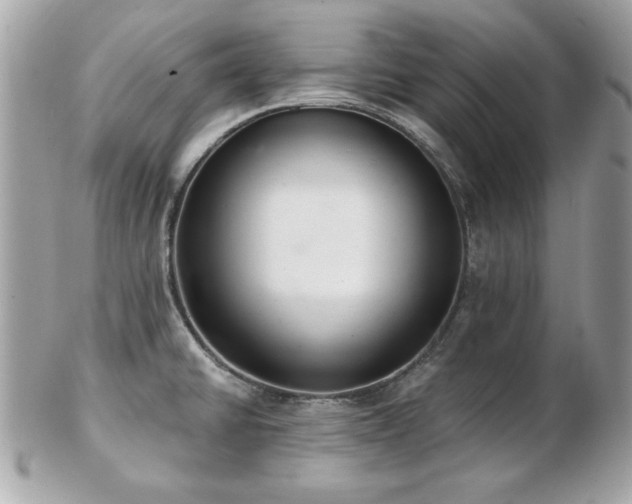 X0000103261430200808291208