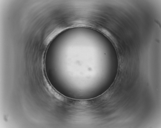 X0000103261431200808291208