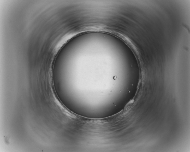 X0000103261432200808291208