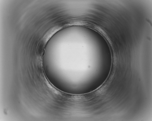 X0000103261433200808291208