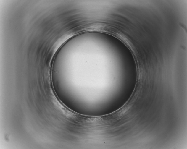 X0000103261434200808291208