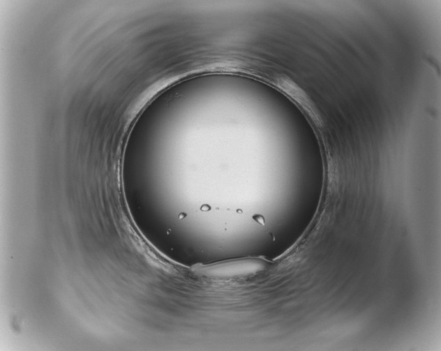 X0000103261436200808291208