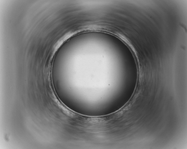 X0000103261437200808291208