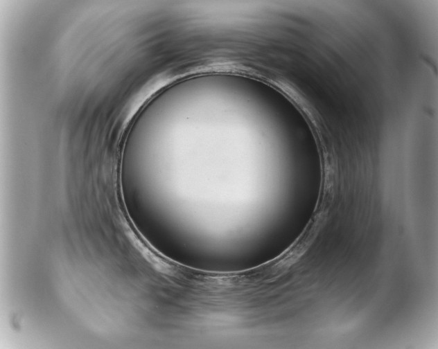 X0000103261438200808291208