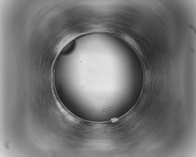 X0000103261439200808291208