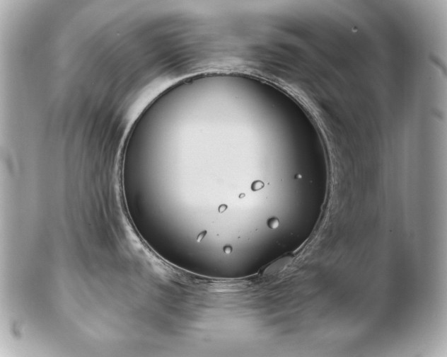 X0000103261440200808291208