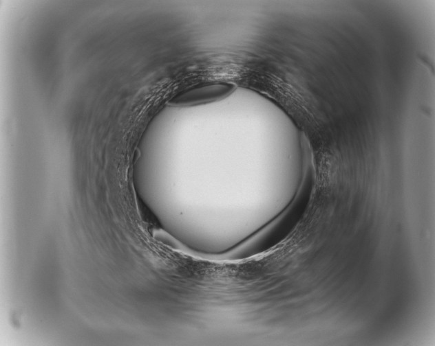 X0000103261441200808291207