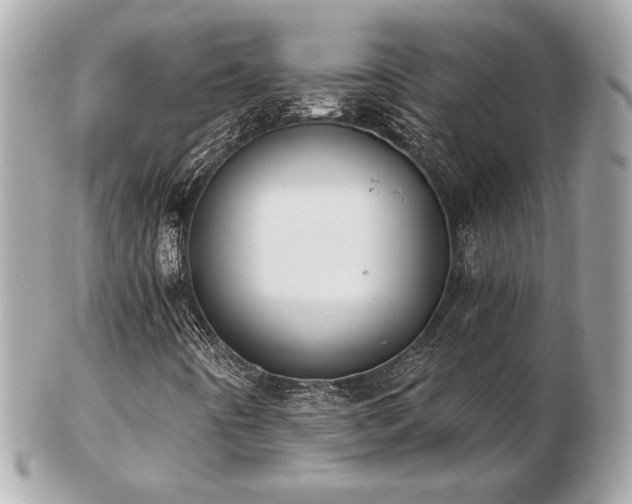 X0000103261442200808291207