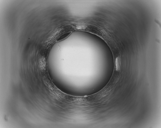 X0000103261443200808291207