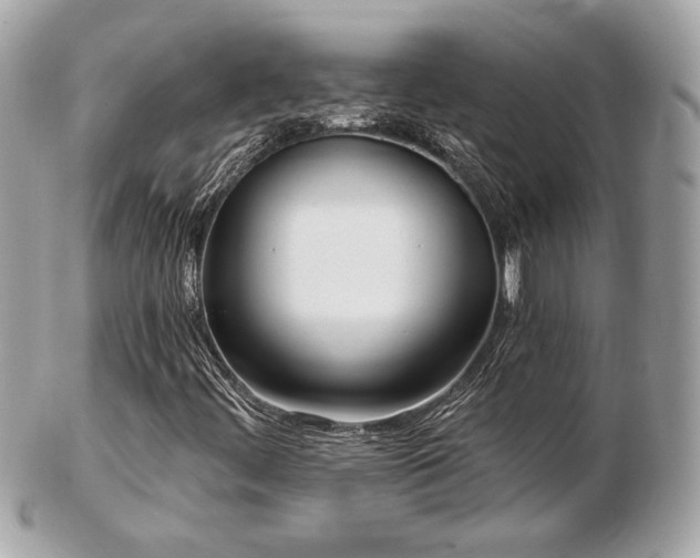 X0000103261444200808291207