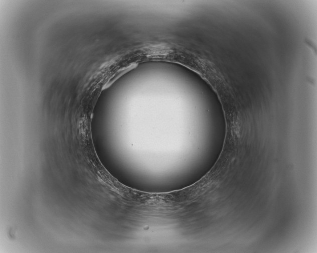 X0000103261445200808291207