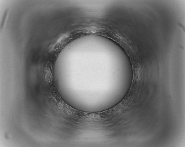 X0000103261446200808291207