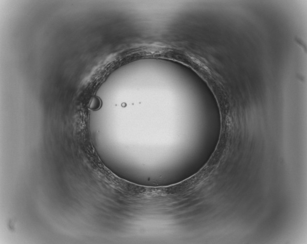 X0000103261447200808291207