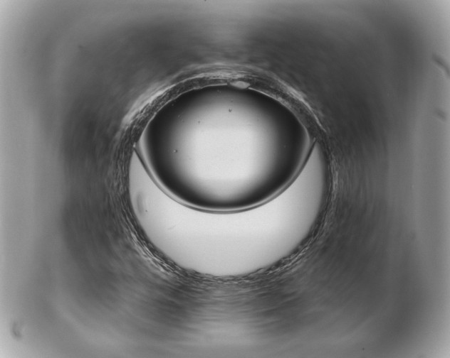 X0000103261448200808291207