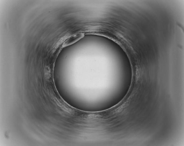 X0000103261449200808291207