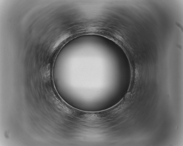 X0000103261450200808291207